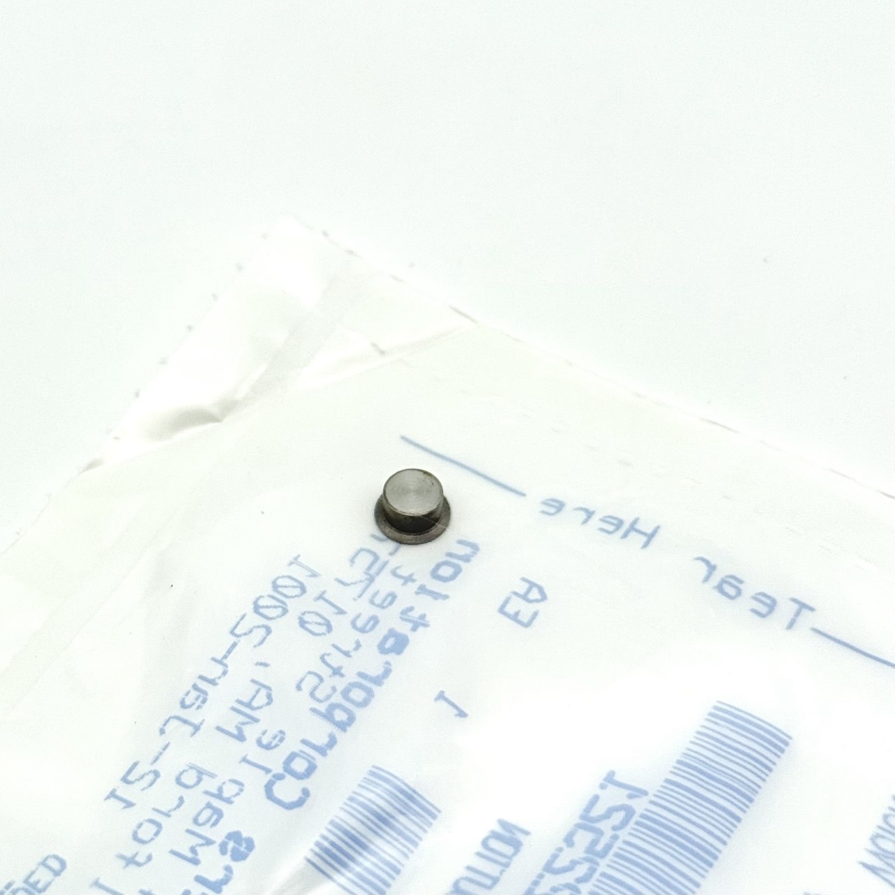 photo_2025-08-03_18-47-18